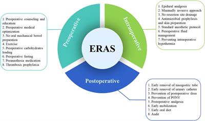 The effect of the enhanced recovery after surgery program on radical cystectomy: a meta-analysis and systematic review